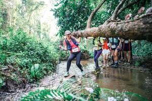 BIB: 
                            <button type="button" onclick="openModal(25475411)" class="btn btn-primary btn-sm float-right btn-popup" data-toggle="modal" data-target=".modal-high-quality">
                        <i class="fas fa-shopping-cart"></i> Add to Cart
                    </button>
                                            <button type="button" onclick="isThisMe(25475411, true)" class="btn btn-success btn-sm float-right btn-popup btn-isme hidden" data-toggle="tooltip" data-placement="bottom" title="นี่คือรูปของคุณใช่ไหม คลิกที่นี่เพื่อเอาเข้าอัลบั้ม">
                        <i class="fas fa-plus"></i> Add to album
                    </button>
                    <button type="button" onclick="isThisMe(25475411, false)" class="btn btn-warning btn-sm float-right btn-popup btn-isnotme hidden">
                        <i class="fas fa-ban"></i> Remove from album
                    </button>